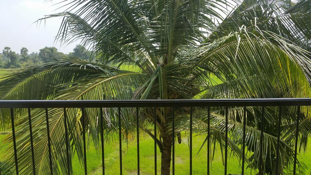 Hotel Serene View Tourist Rest Anuradhapura Esterno foto