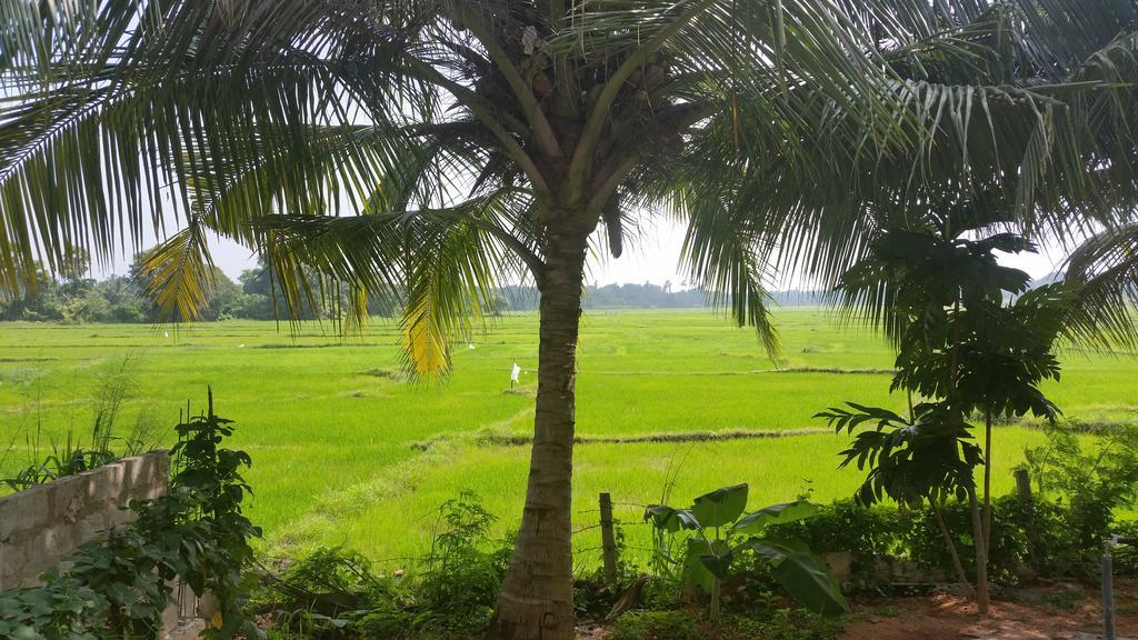 Hotel Serene View Tourist Rest Anuradhapura Esterno foto
