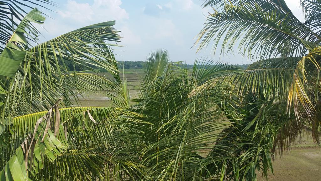 Hotel Serene View Tourist Rest Anuradhapura Esterno foto