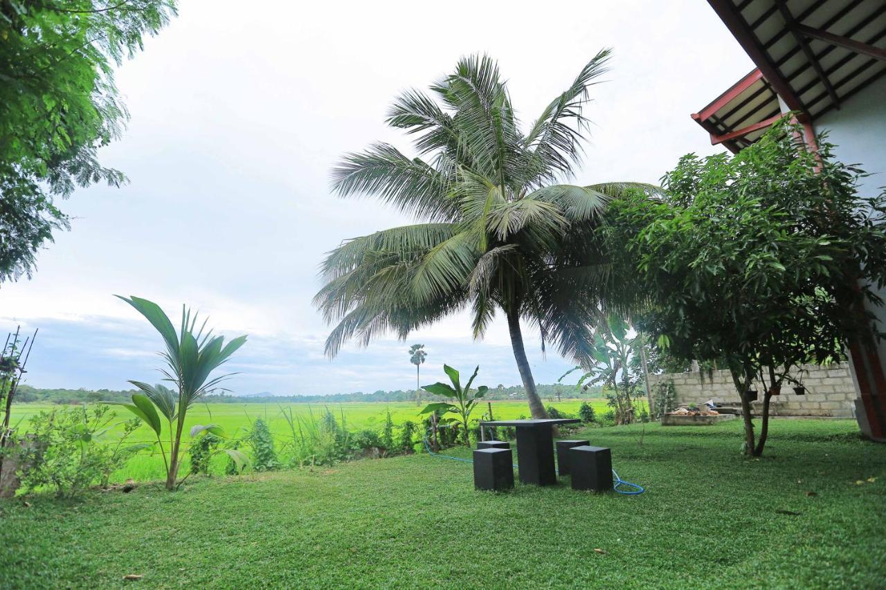 Hotel Serene View Tourist Rest Anuradhapura Esterno foto